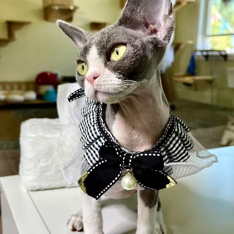 Specialty coffee with latte art at MiaoMiao Cafe