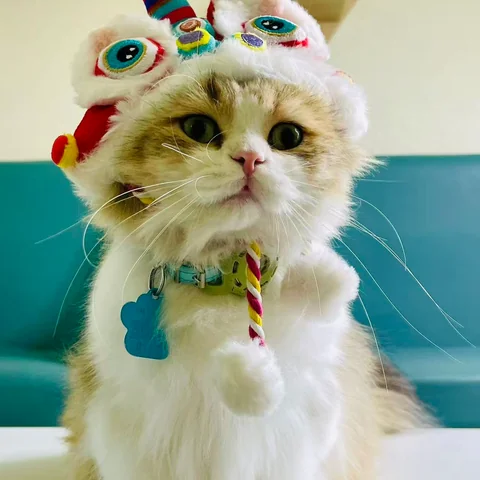 Handmade desserts and pastries at MiaoMiao Cafe